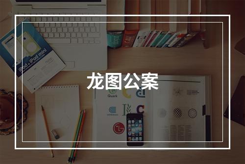 龙图公案